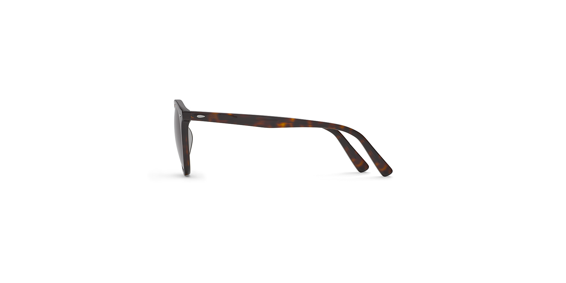 Lunettes de soleil classiques pour hommes en acétate en forme Pantos,  BD 474 SUN CL