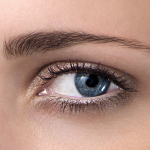 Funktionsweise des Auges