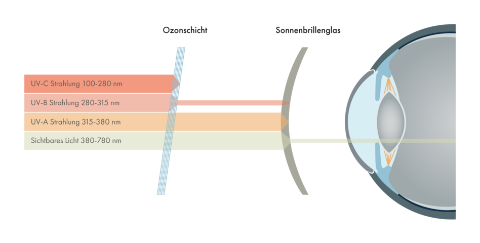 UV-Schutz mit Sonnenbrillengläsern von Fielmann